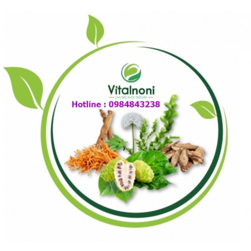 Nước Cốt Nhàu Vital ( Vitalnoni ) Bổ Sung Dinh Dưỡng, Tăng Cường Sức Khỏe, Hỗ Trợ Điều Trị Bệnh Tật